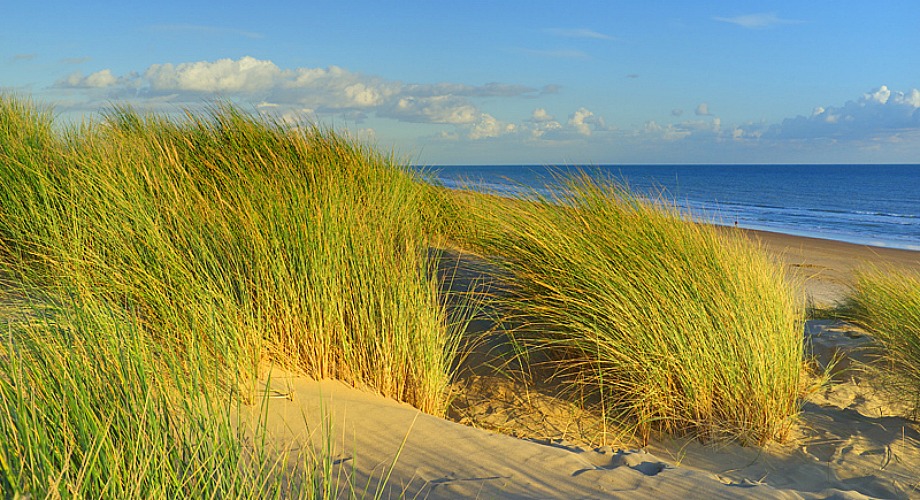 camber sands