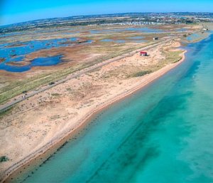 rye harbour nature reserve