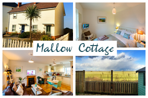 mallow-cottage-postcard