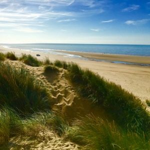 Spring Beside the sea