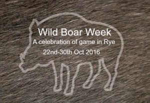 Wild boar week 2016