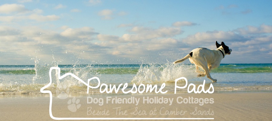 Camber Sands - Dog Friendly Holiday 