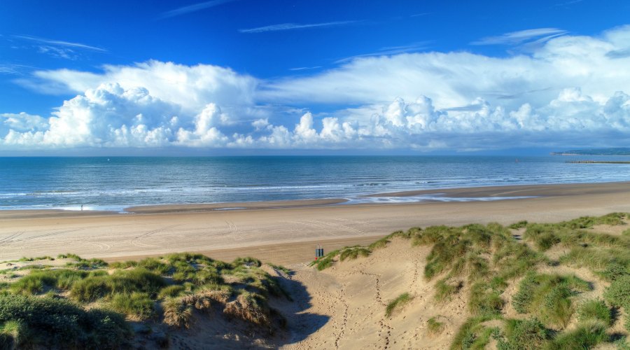 Camber sands summer