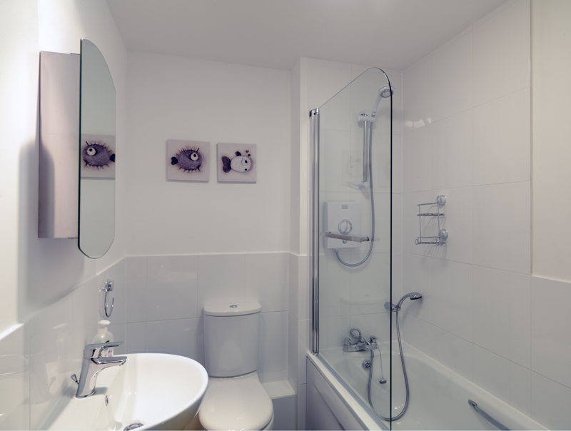 Tauranga bathroom