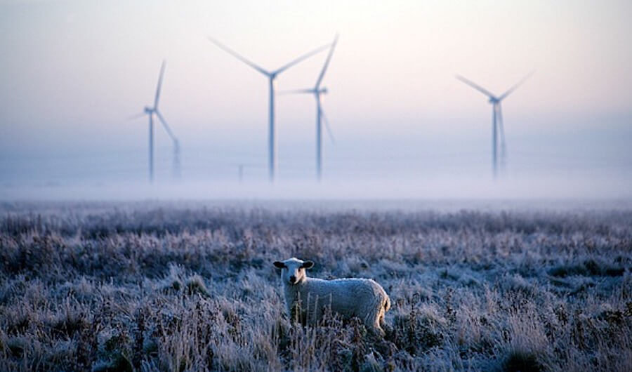 winter in Romney Marsh