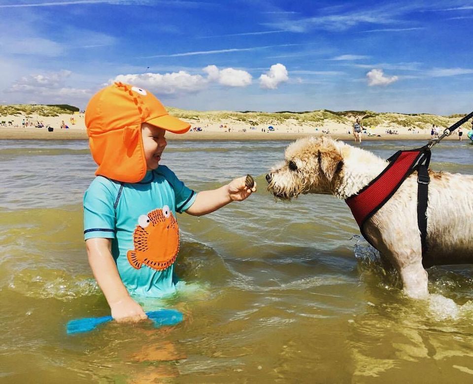 family friendly camber sands beach