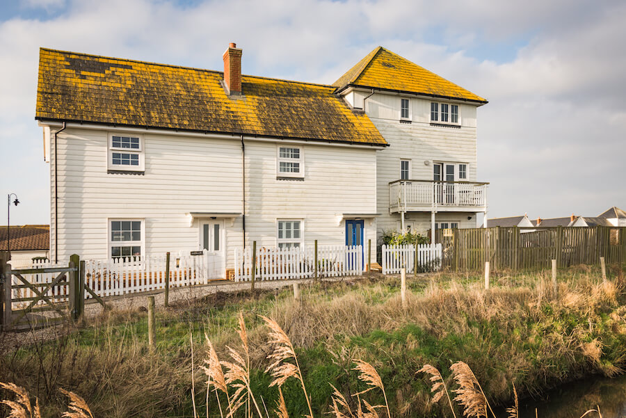 Day Out in Rye Harbour