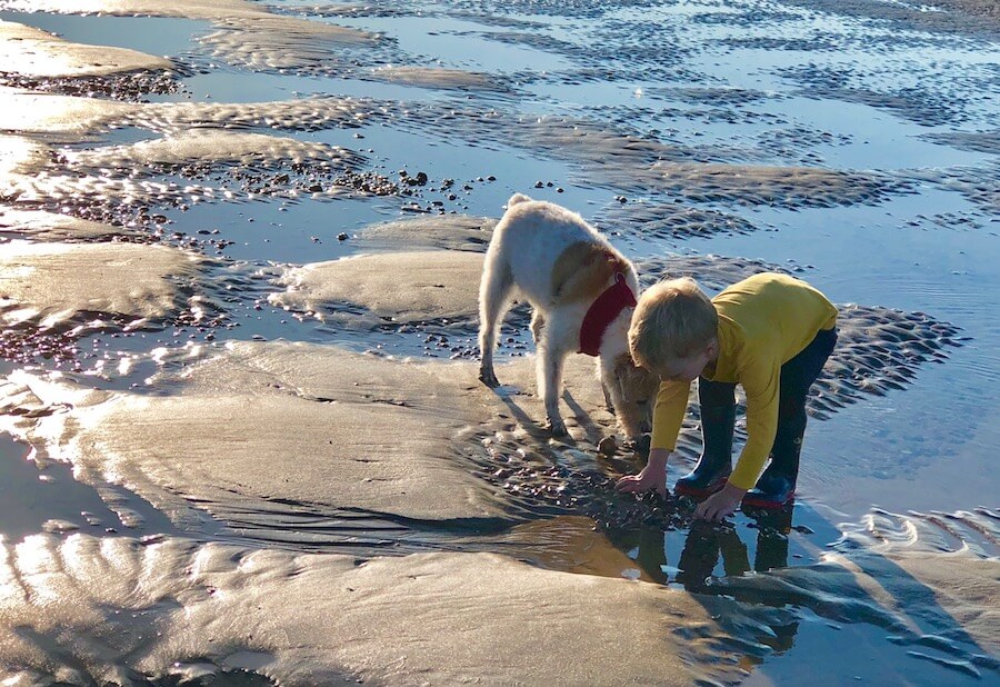 beach combing camber sands