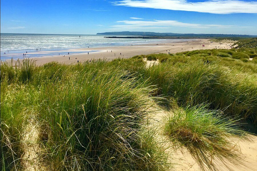 summer beside the sea