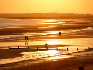 golden glow camber sands