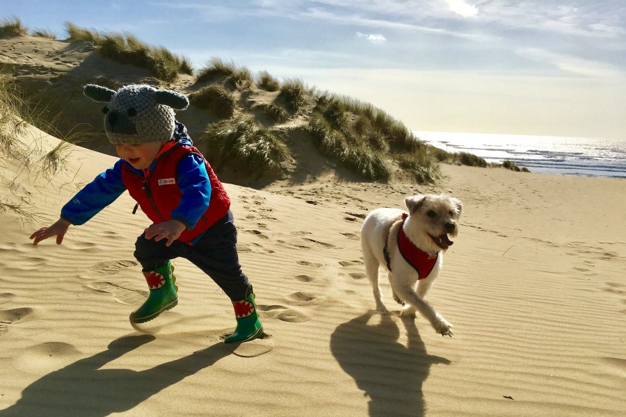 Dune Safari Caber Sands