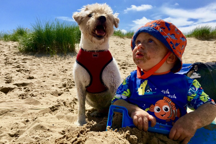 family time at camber sands