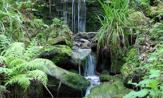 Waterfall in Hastings County Park