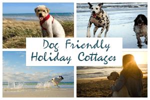 Dog Friendly Holiday Cottages