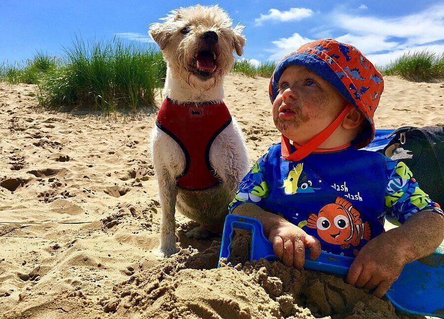 Dog and baby in Camber Sands