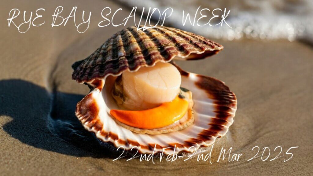 rye bay scallop sitting on the beach