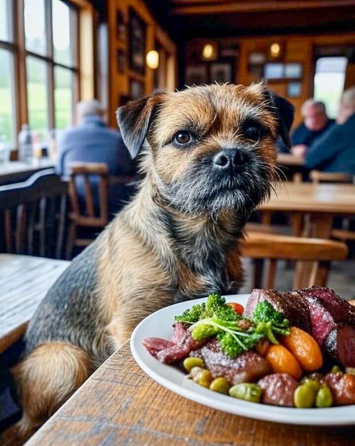 Pet owners enjoying Sunday lunch at Dog-friendly pub The Owl in Camber