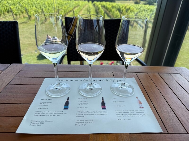 English wine tours in Sussex with vineyard tasting experience