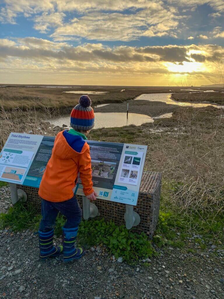 Family walk at Rye Harbour Nature Reserve spotting wildlife with kids