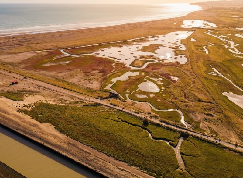 Rye Harbour is a great spot to discover Autumn wildlife 1066 Country