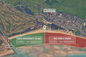 Camber Sands dog zone map showing dog-friendly and no-dogs zones