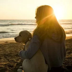 dog friendly camber cottages