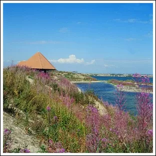 Dungeness National Nature Reserve