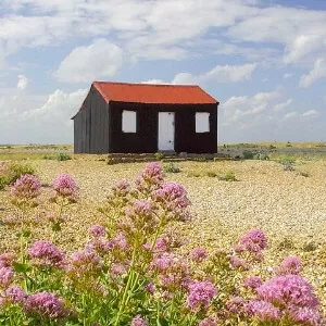 Rye Harbour nature reserve