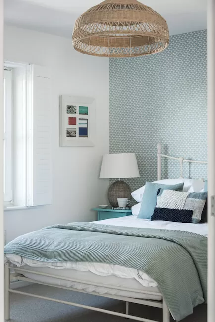 SandDollar-20