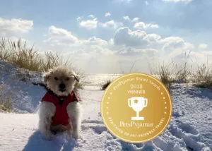 PetsPyjamas Travel Award Winner