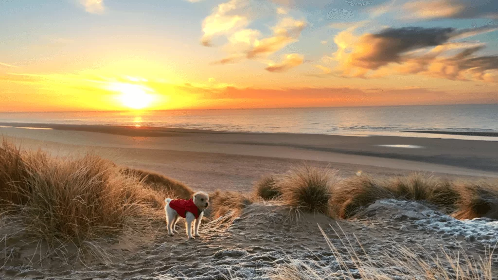 Pet friendly long weekend breaks East Sussex