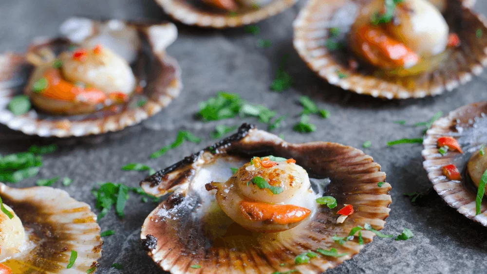 Scallops are a prolific produce of East Sussex, most notably Rye