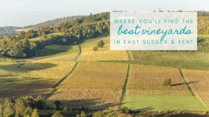 A guide to our favourite five vineyards in East Sussex and Kent