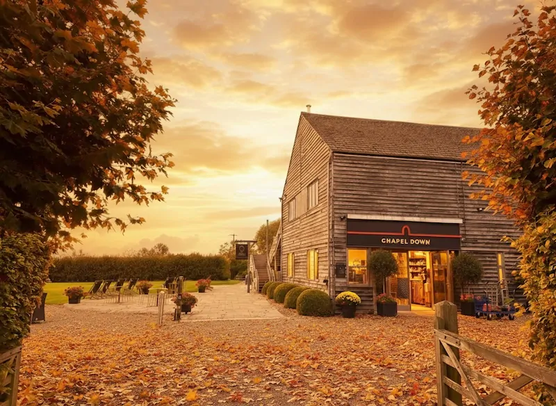 Enjoy English wine tours in Kent vineyard