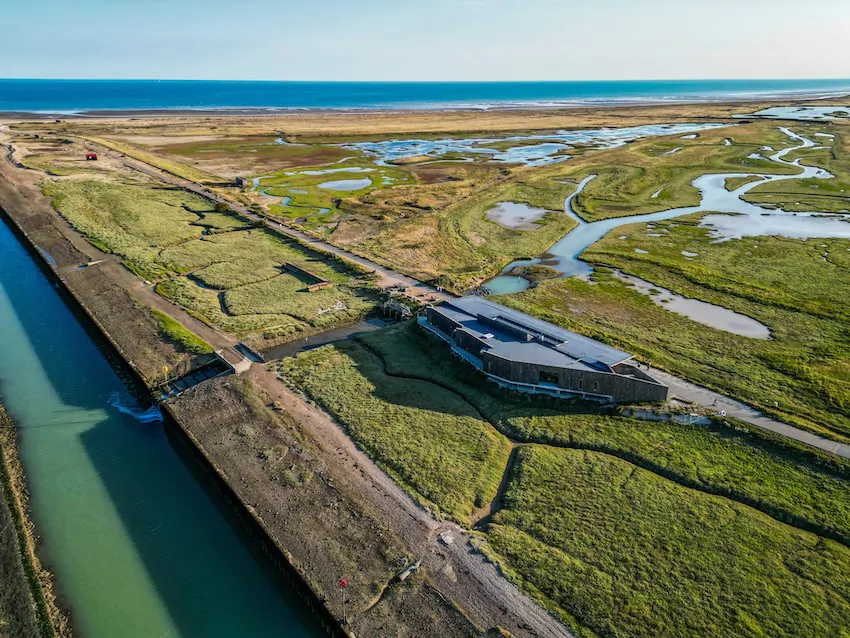 Stop by the Rye Harbour visitor to enhance your visit.