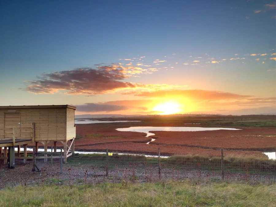 Birdwatching at Rye Harbour Nature Reserve hide