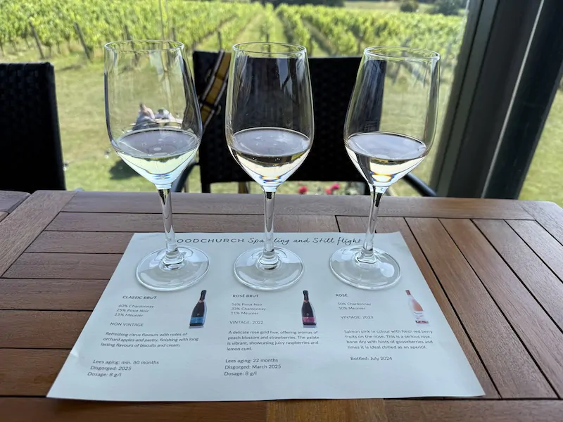 English wine tours in Sussex with vineyard tasting experience