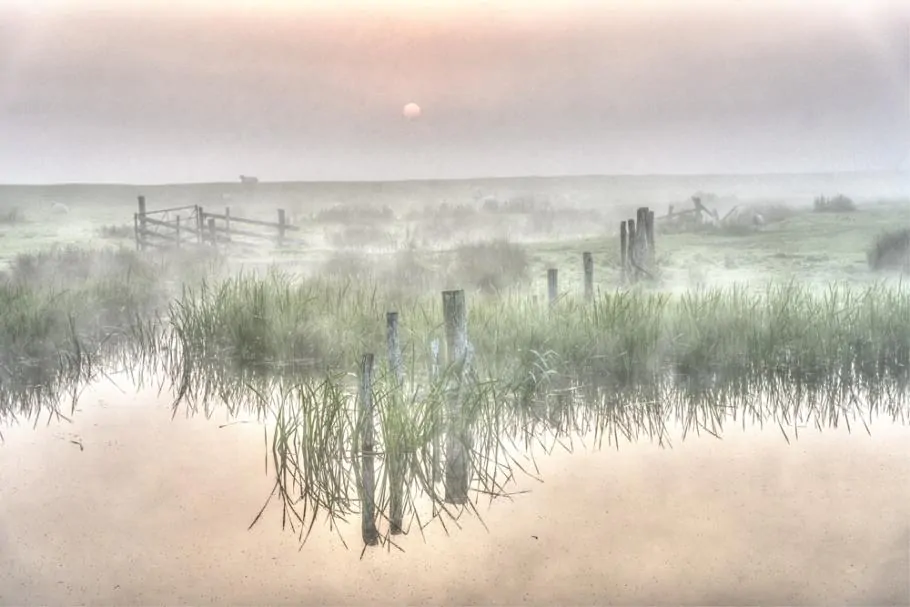 Romney Marsh walk during the autumnal mist