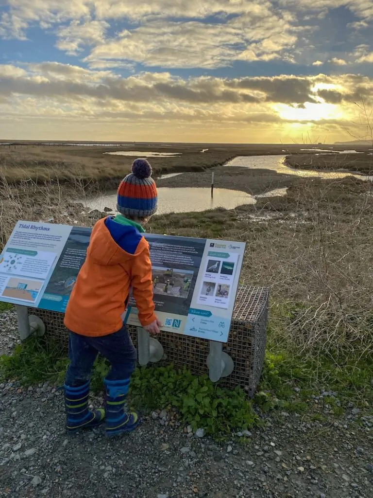 Family walk at Rye Harbour Nature Reserve spotting wildlife with kids