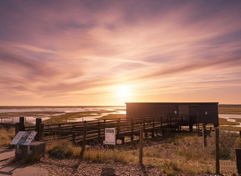 Autumn walk at Rye Harbour Nature Reserve in 1066 Country