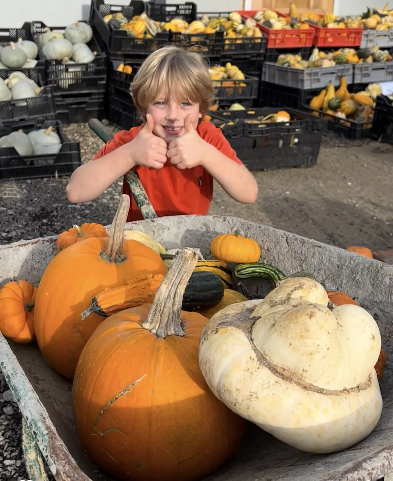 Kids picking pumpkins during October half-term near Camber Sands