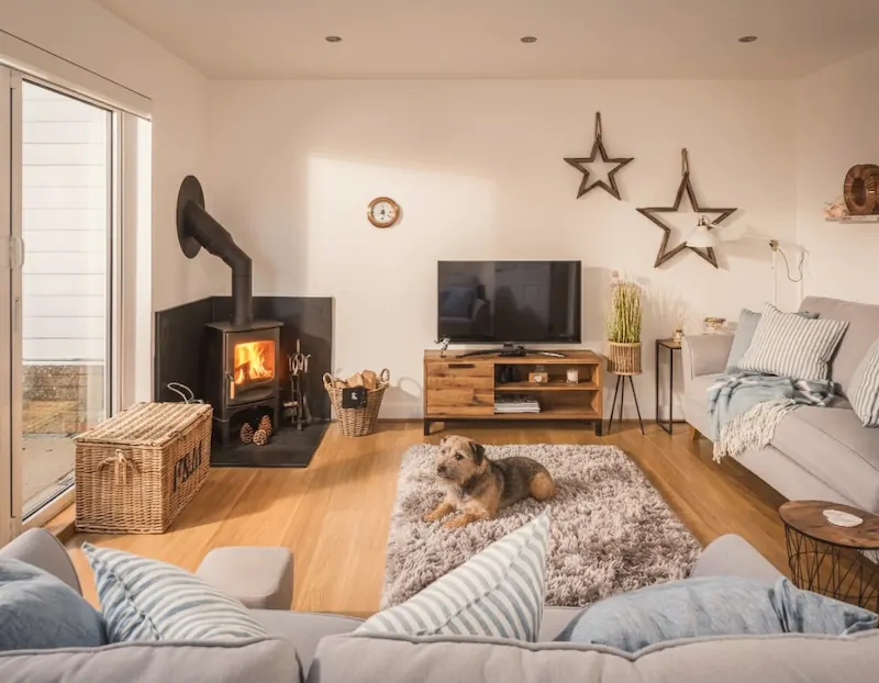 Small brown dog lying on a fluffy rug in a cosy, dog-friendly cottage living room near Rye and Camber, with log burner, sofas and soft coastal décor.