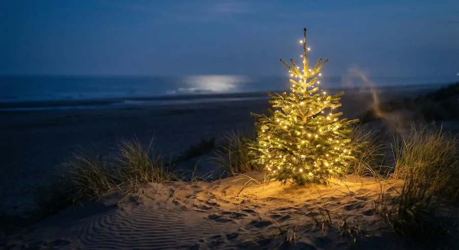 Christmas tree in the dunes at camber sands
