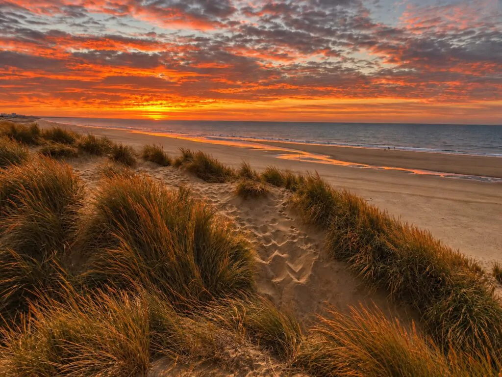 Autumn sunrise over the dunes at Camber Sands, East Sussex, with the tide out